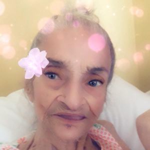 Meet your Posher, Iris